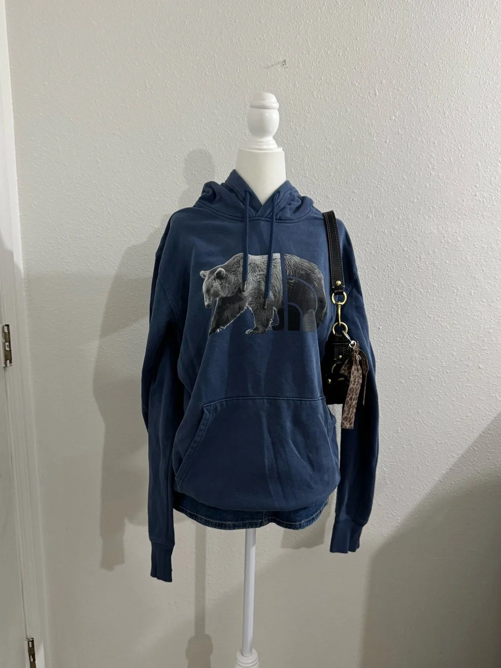 The north face bear hoodie